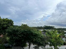 Raffles Park (D11), Detached #453038921